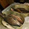 живая рыба, Толстолобик, амур в Туле 4